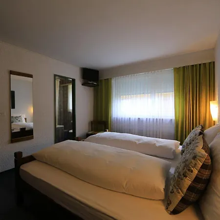 호텔 Hotel Art Furrer 리더알프
